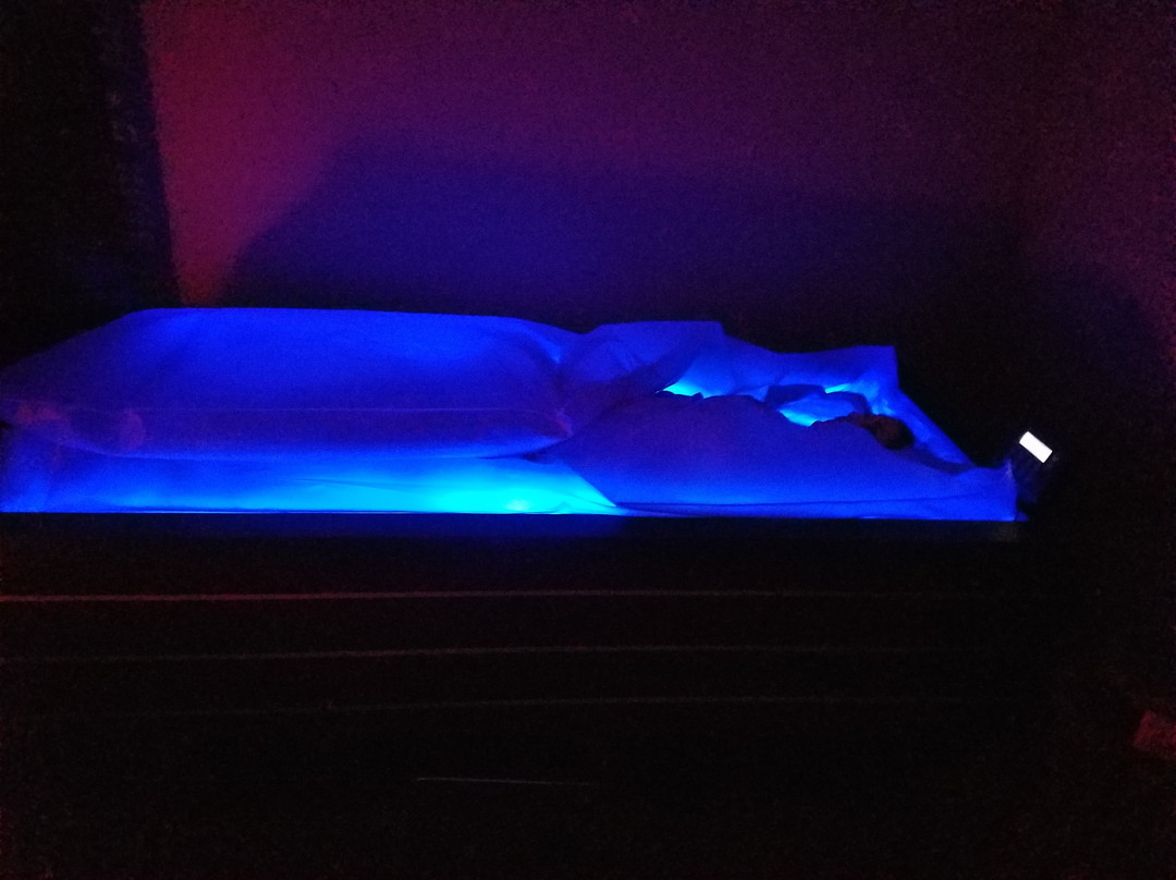 SaltTreeYoga-渥太华必去景点