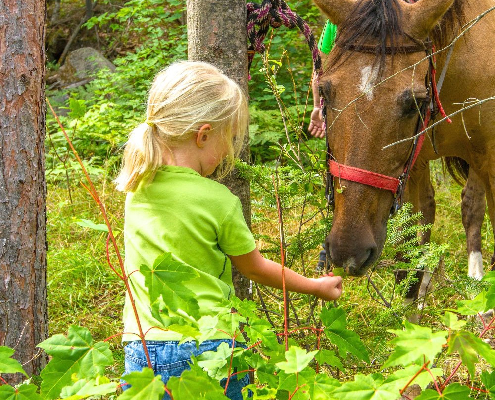 Von Doeler's Ranch-Rutherglen必去景点