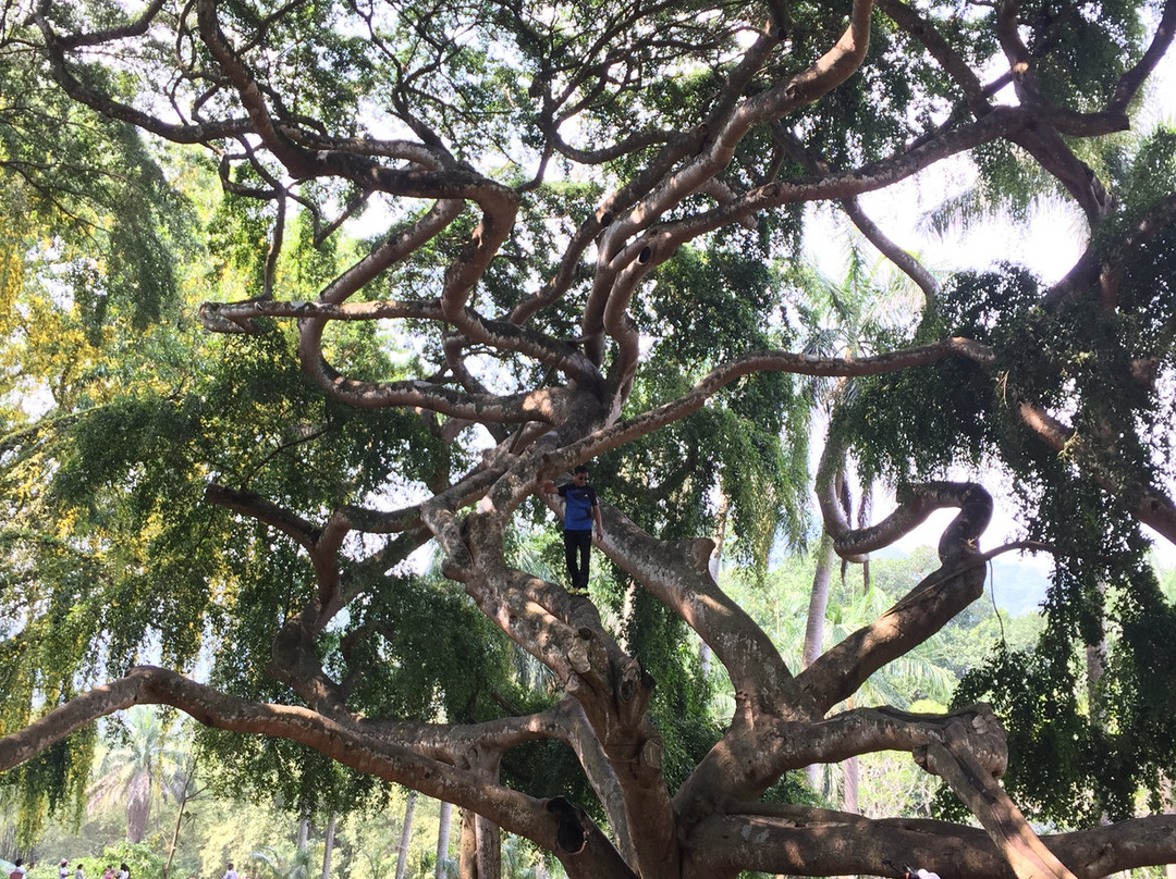Ceylon Eye景点图片