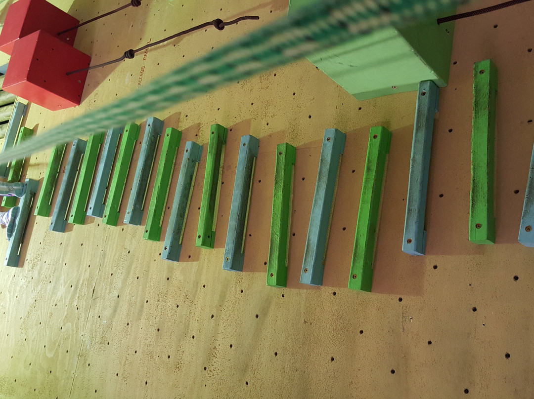 Sydney Indoor Climbing Gym景点图片
