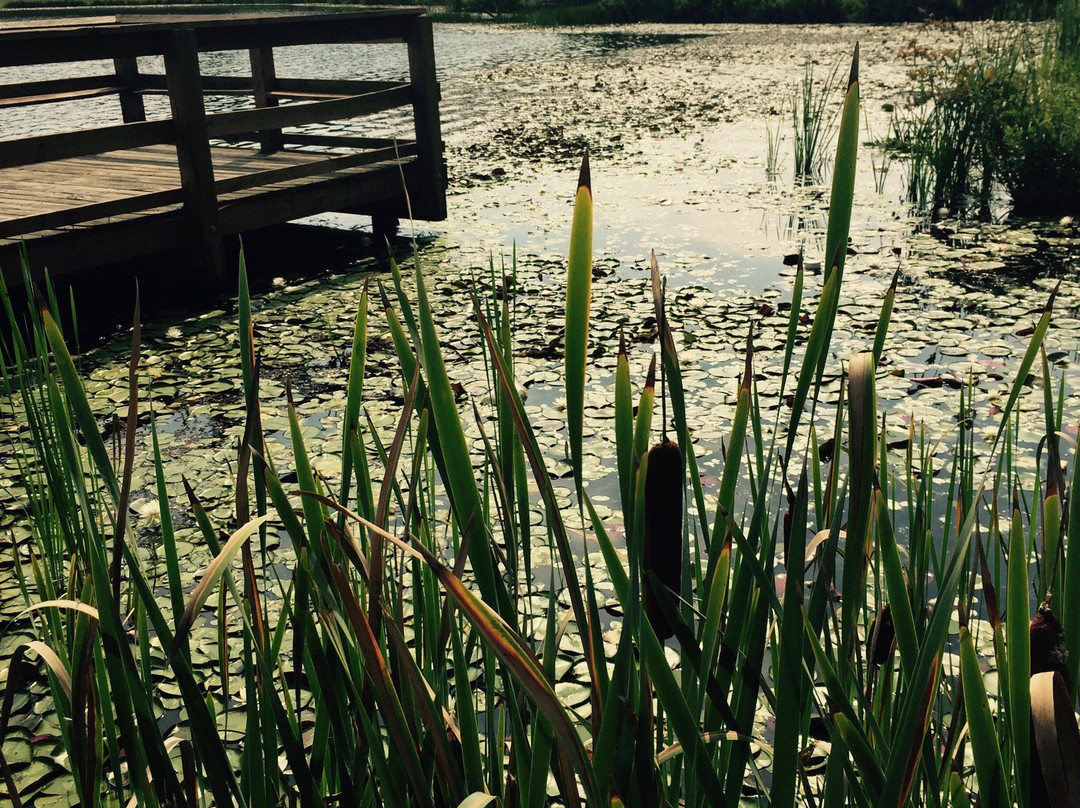 Lake Rim Park景点图片