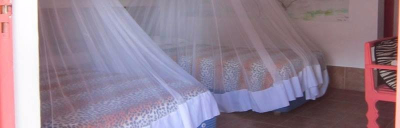 Miryams Village Inn Safari Lodge Limited.主图