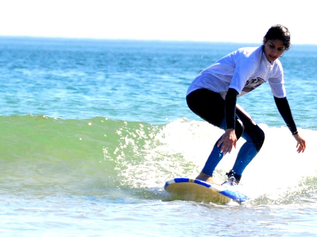 Surf's Up Portugal景点图片