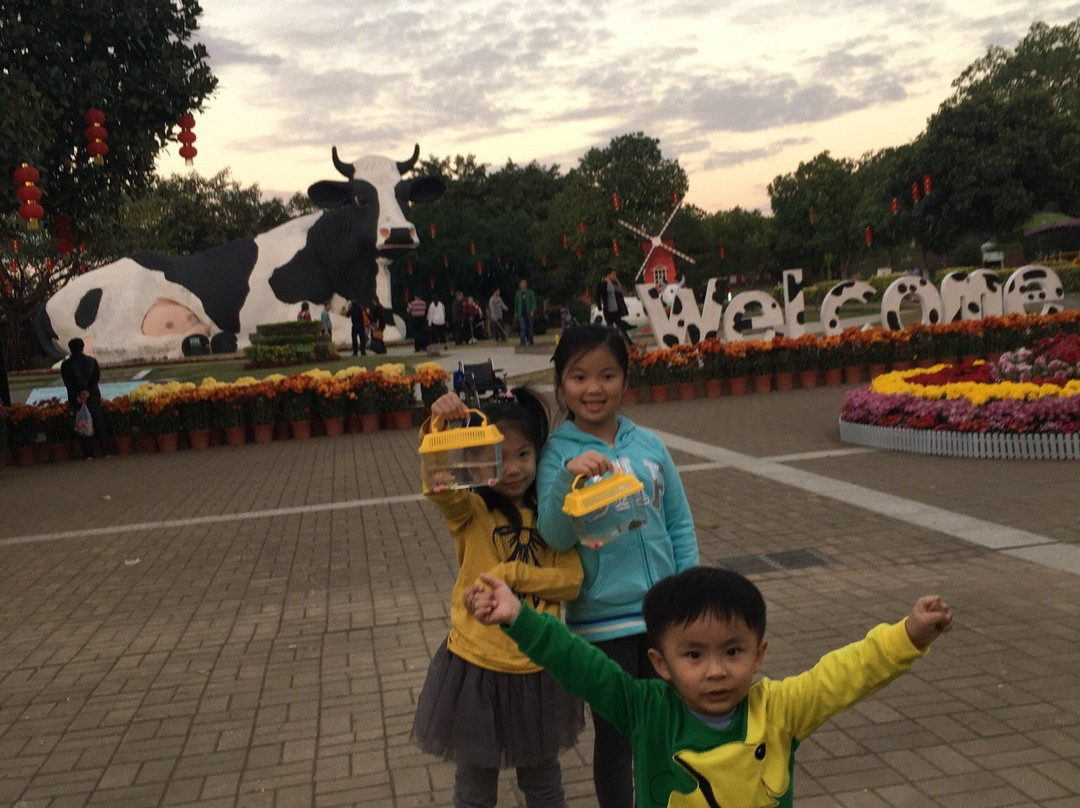 光明农场-深圳市必去景点