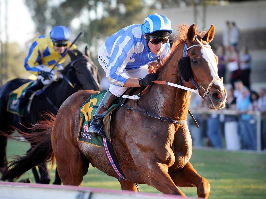 Gunnedah Jockey Club景点图片