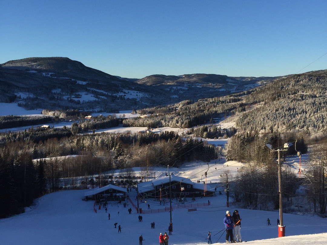 Hurdal Skisenter景点图片