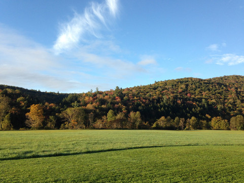 Stone Revival Gallery & Gift Shop-Stockbridge必去景点