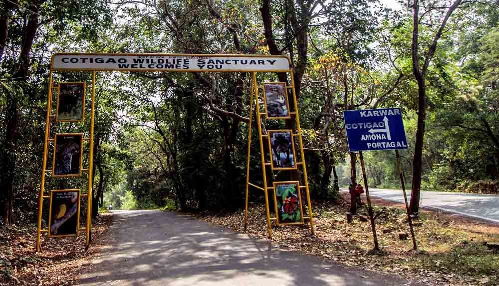 Cotigao Wildlife Sanctuary景点图片