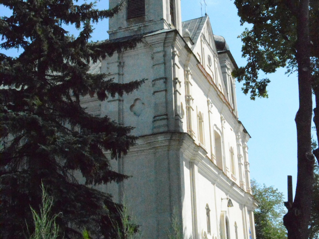 Church of St John the Merciful景点图片