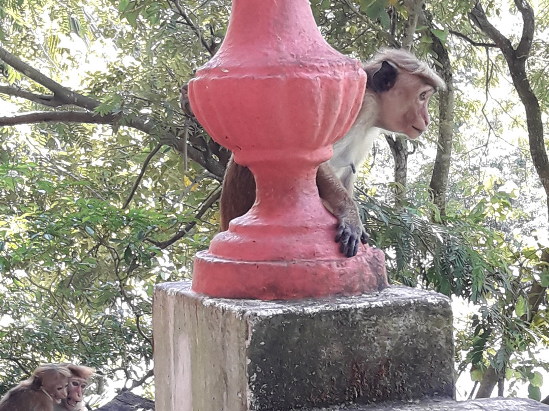 马凯里嘎勒山修道院-唐卡拉必去景点