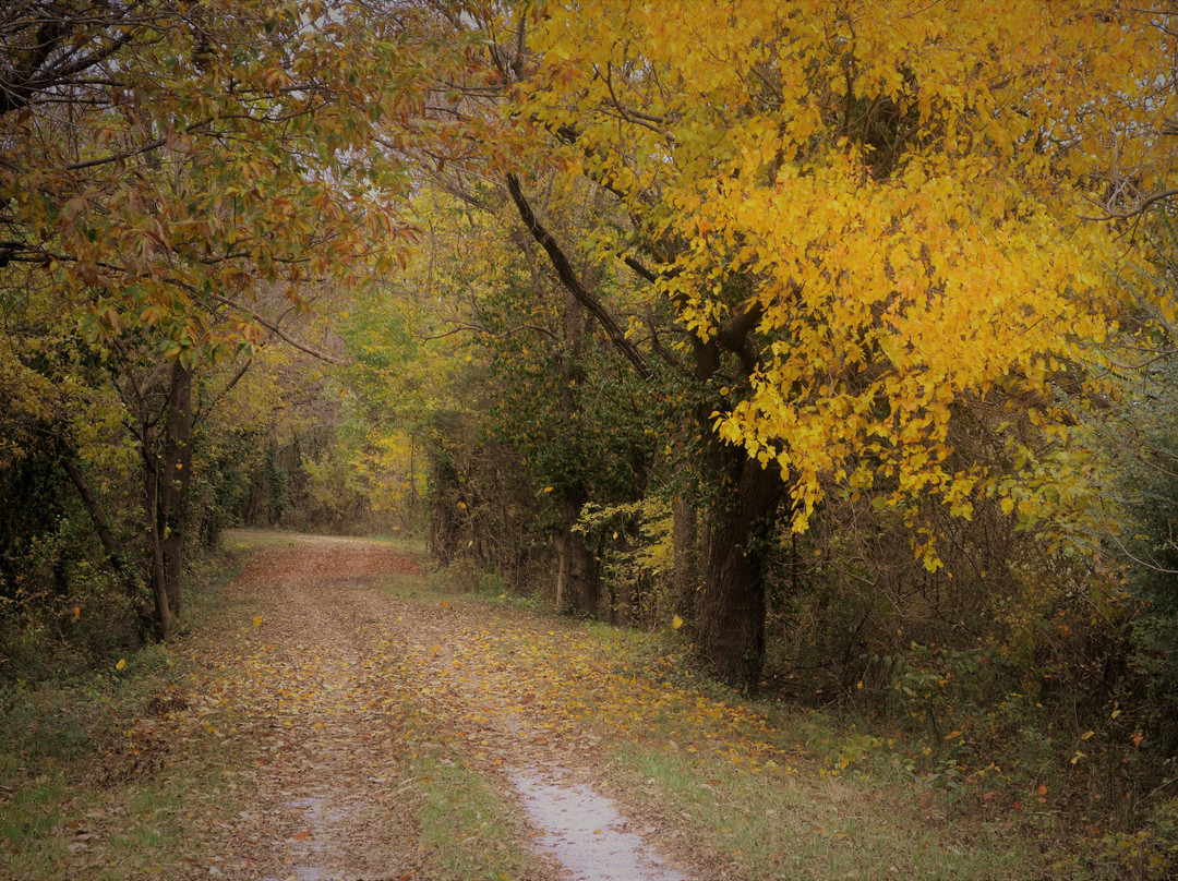 Old Newtonia Civil War Cemetery-Newtonia必去景点