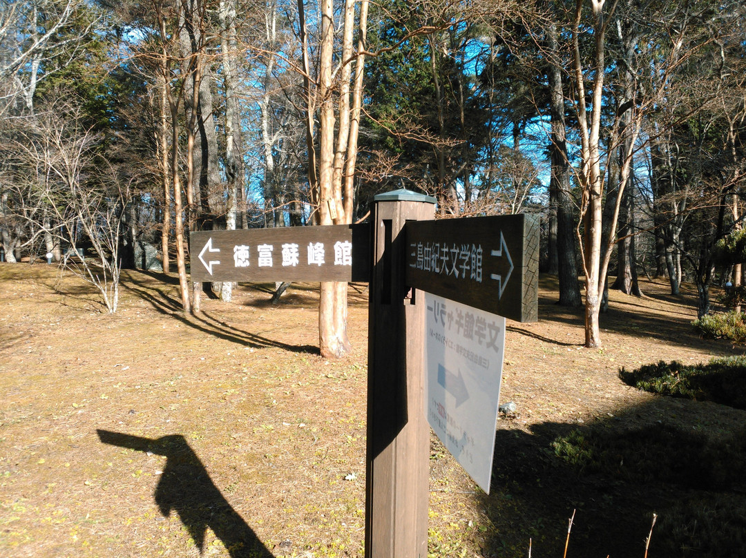 Yamanakako Bungaku no Mori Park景点图片