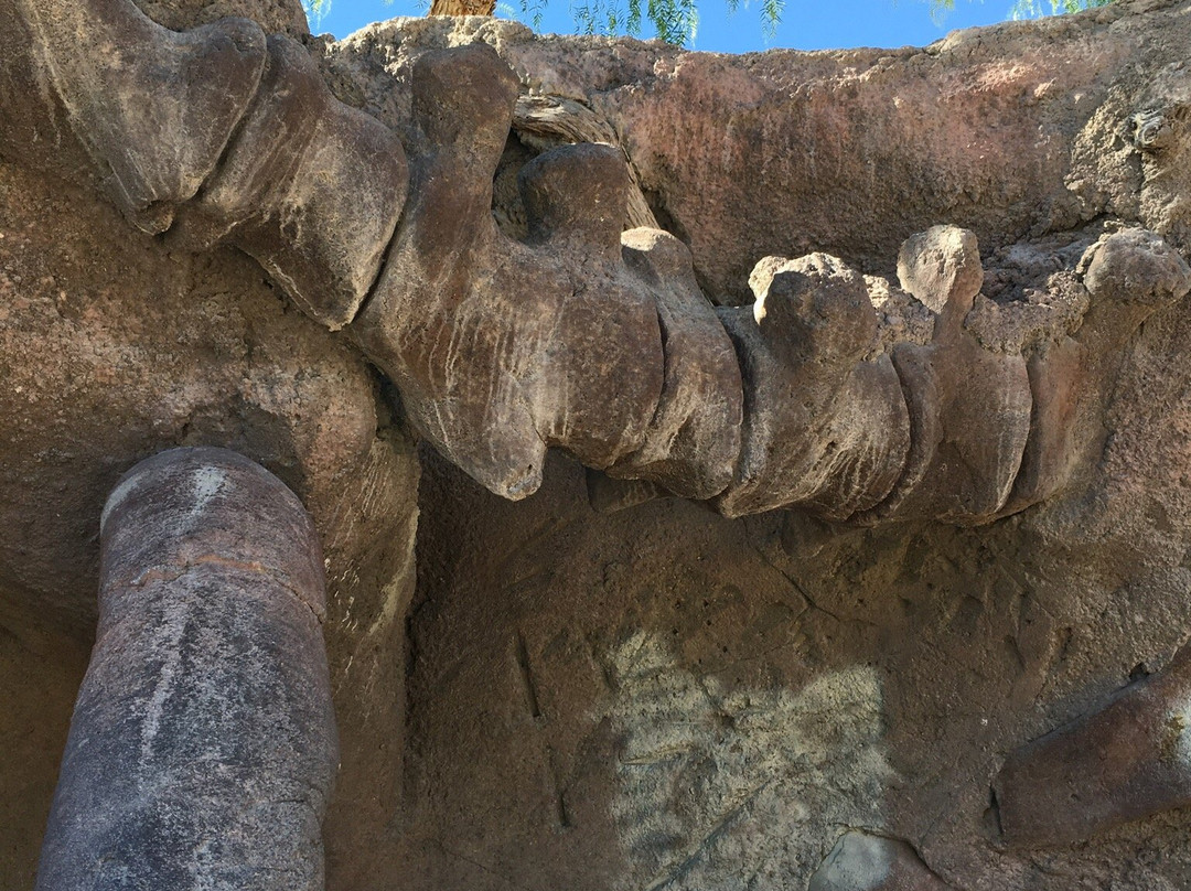 Aliante Nature Discovery Park-北拉斯维加斯必去景点