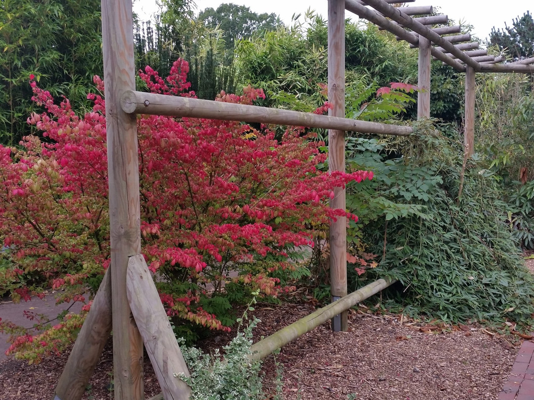 Botanischer Garten-奥尔登堡必去景点