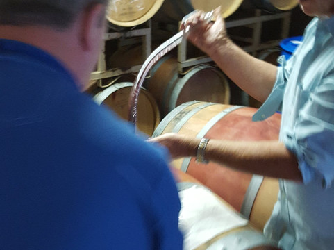 Westover Vineyards-卡斯特罗谷必去景点