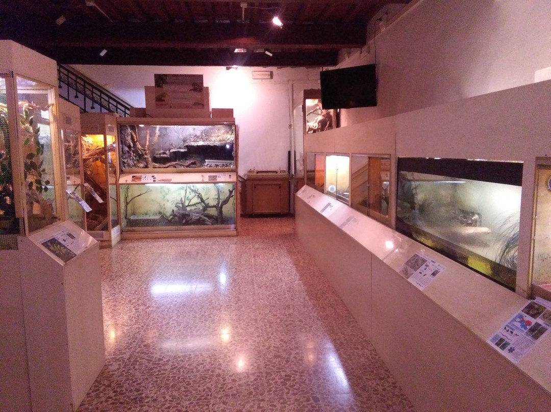 Centro di Scienze Naturali景点图片