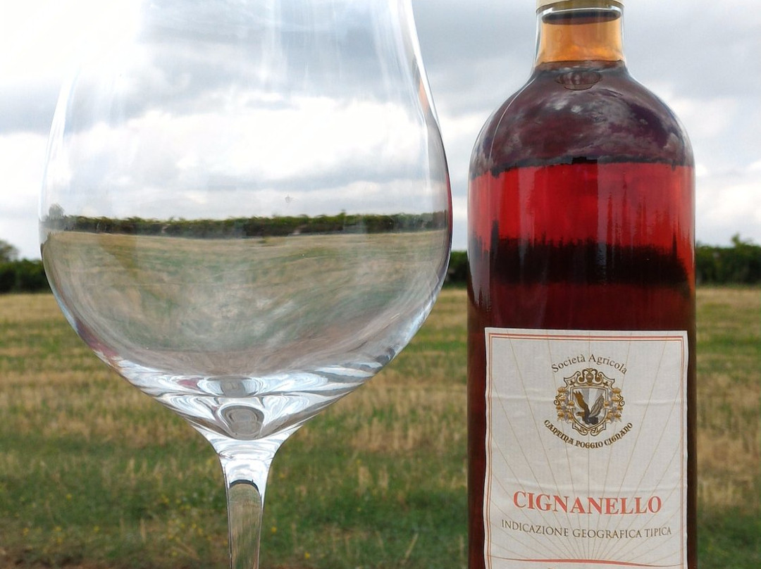 Cantina Poggio Cignano-Ginosa必去景点