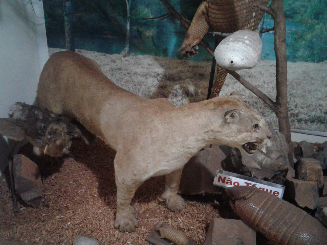 Museu de Historia Natural de Cravinhos-Cravinhos必去景点