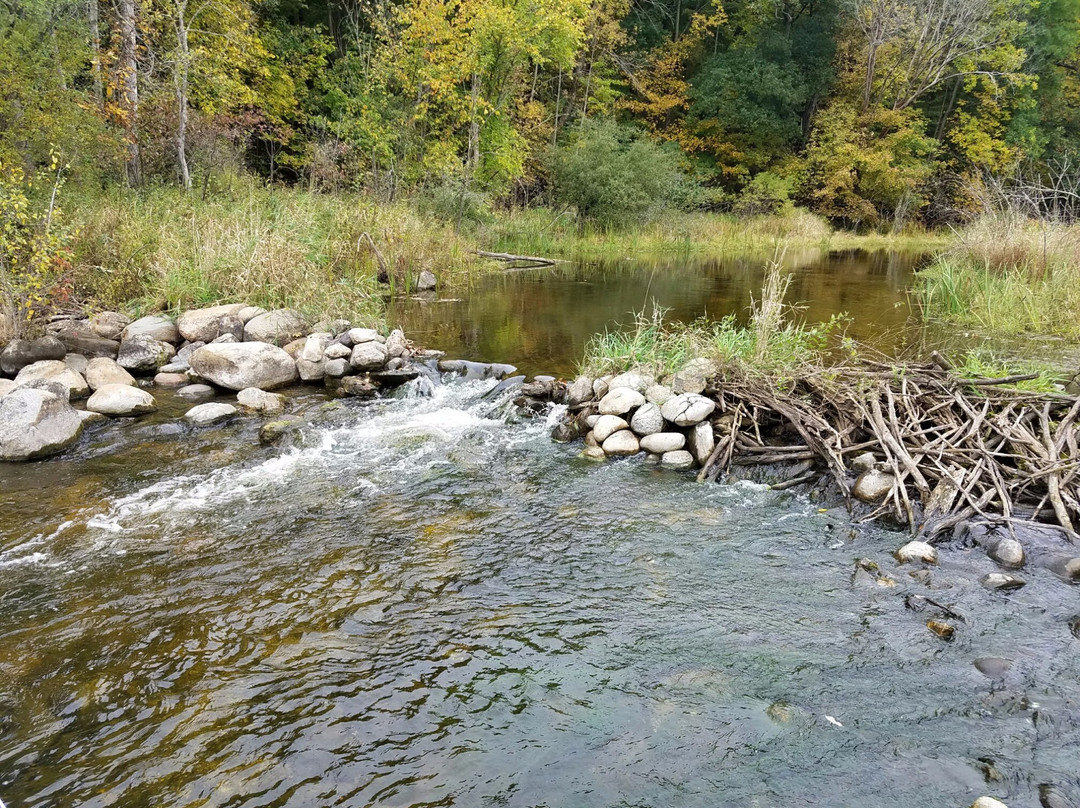 Cold Spring Inn主图