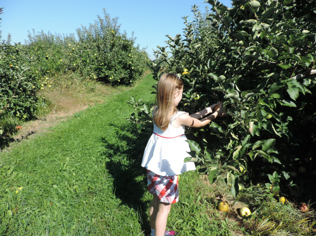 Johnston Fruit Farms-Swanton必去景点