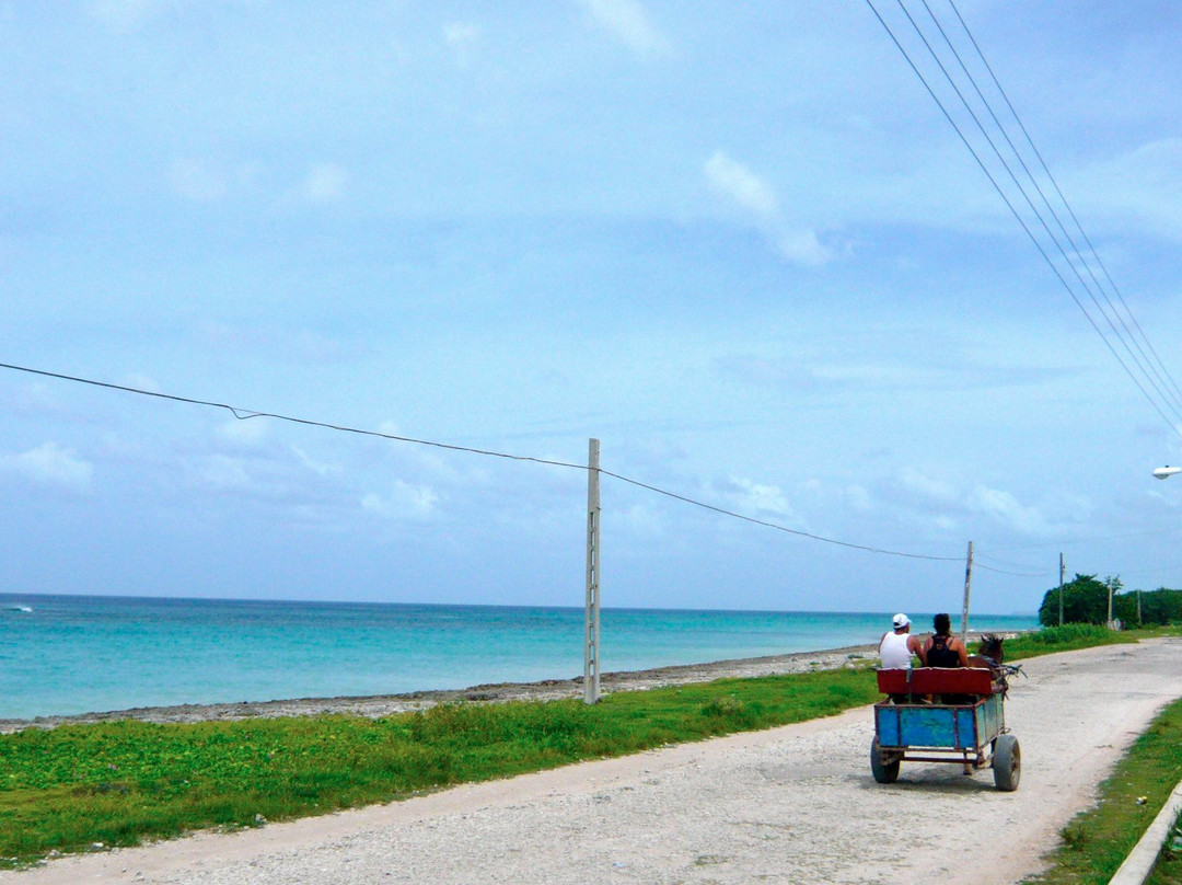 Villa Don Félix主图