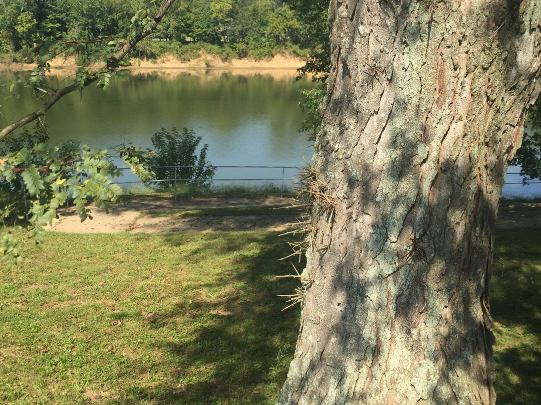 Liberty Park & Clarksville Marina-克拉克斯维尔必去景点