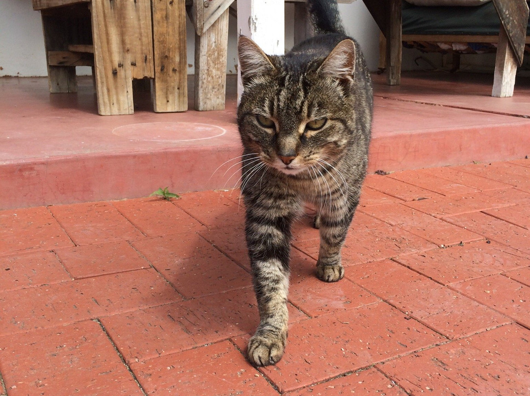 Yelland & Papps-努里乌特帕必去景点