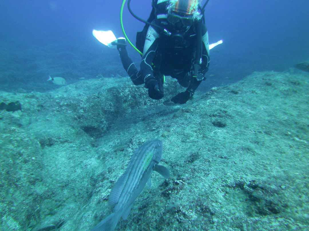 Cyprus Dive Shack景点图片
