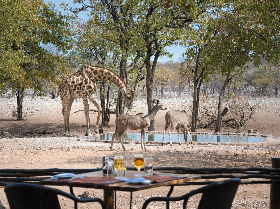 Ongava Tented Camp