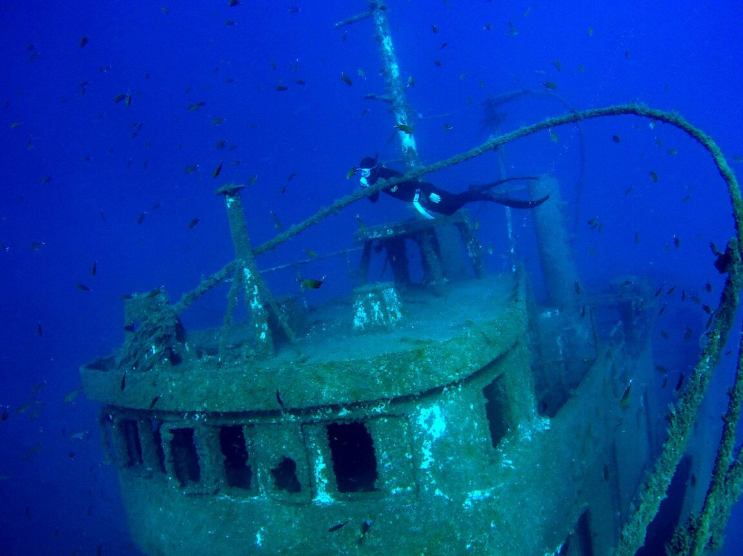 Atlantis Freediving-圣克鲁斯-德特内里费必去景点