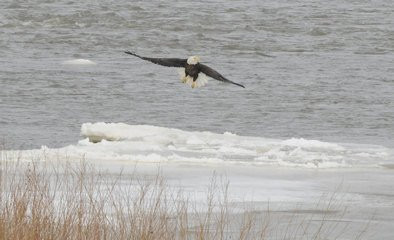 Otsego Park-鲍灵格林必去景点