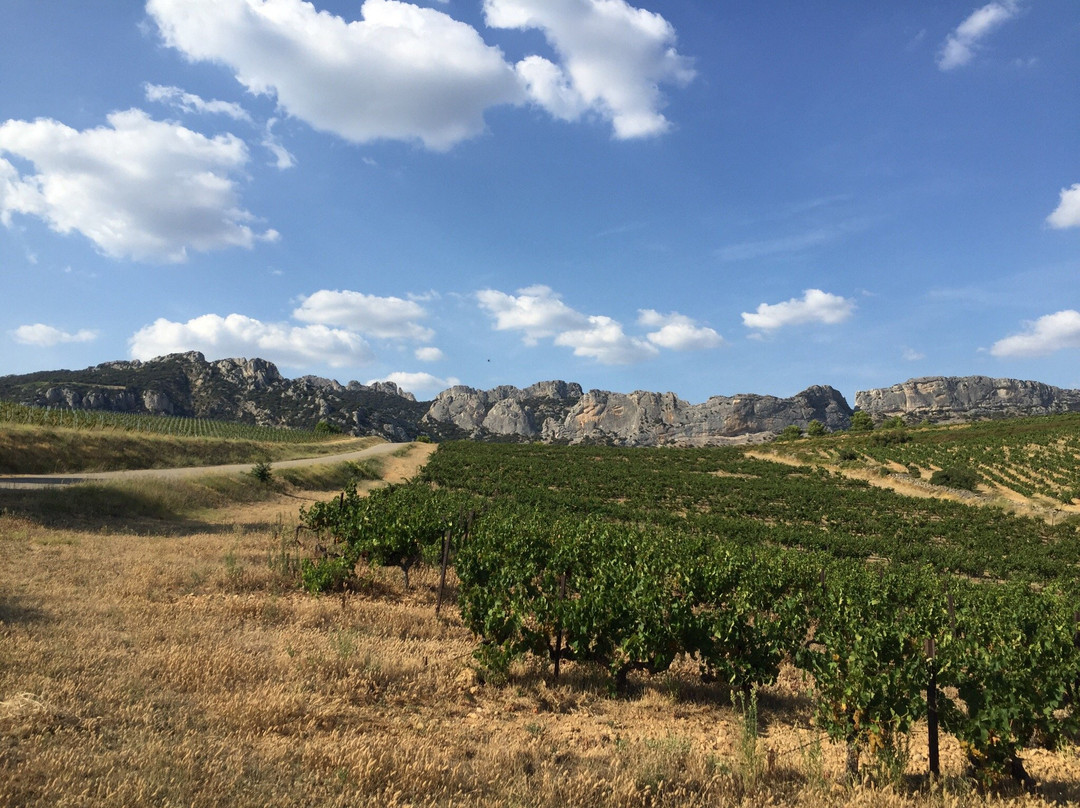 Domaine de Coyeux景点图片