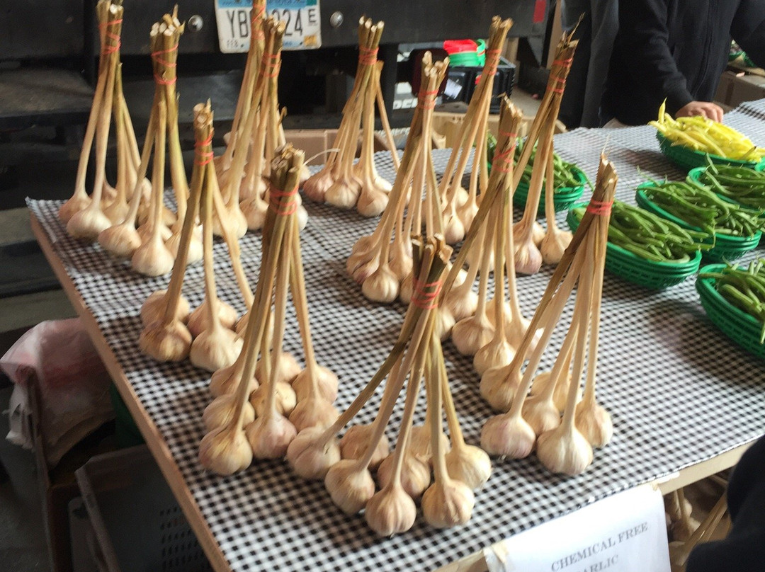 St. Paul Farmers Market-圣保罗必去景点