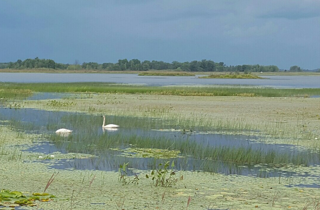 Grantsburg旅游攻略图片