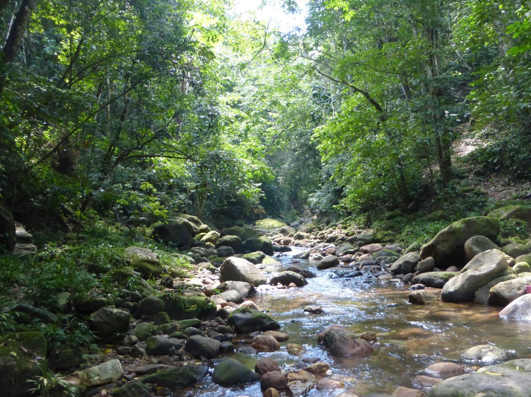 Circuitos Ecoturísticos Alto Shilcayo y Adyacentes-Tarapoto必去景点