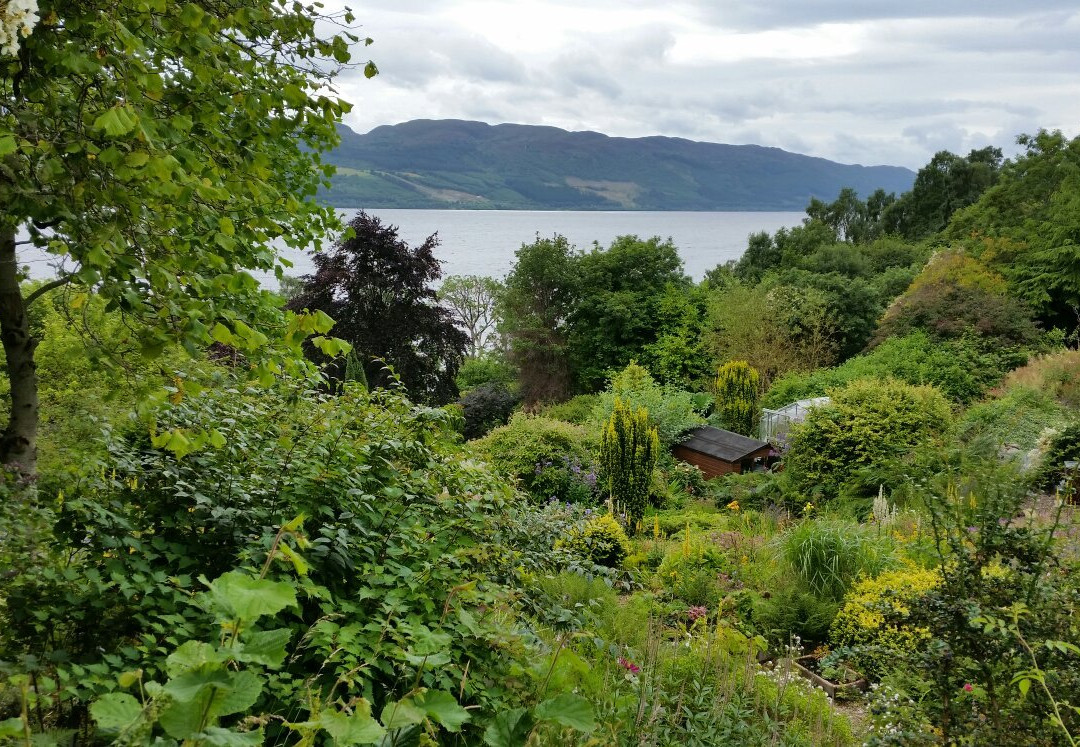 Abriachan Nurseries - The Garden On Loch Ness-Abriachan必去景点
