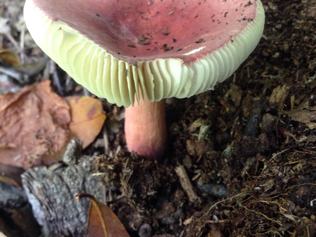 Fishkill Ridge-Beacon必去景点