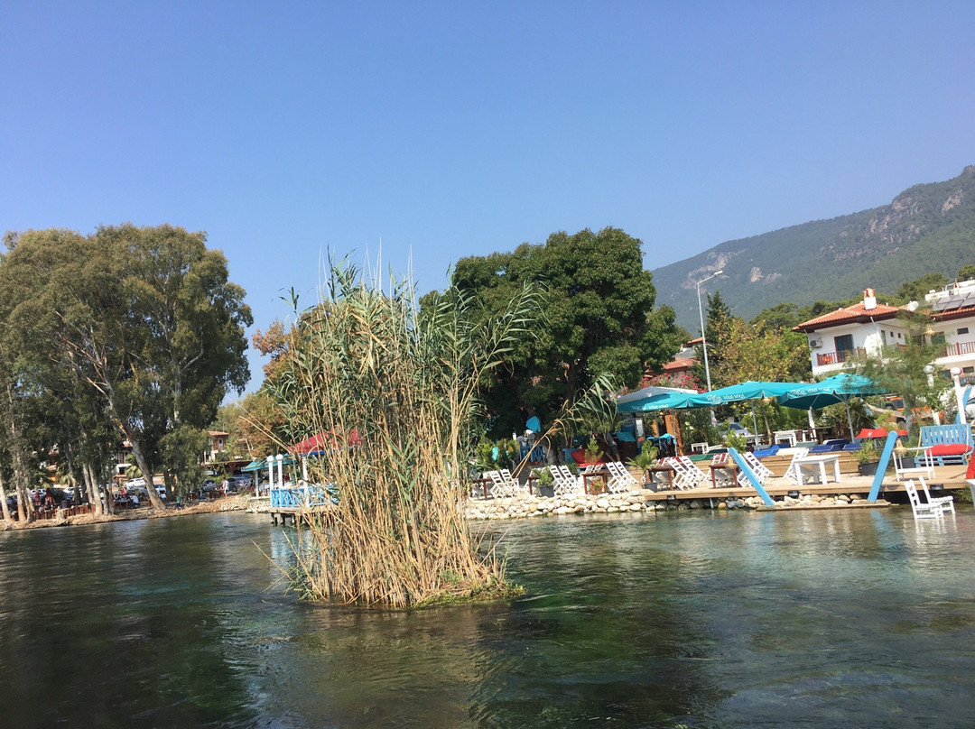 Caria Pan Travel景点图片