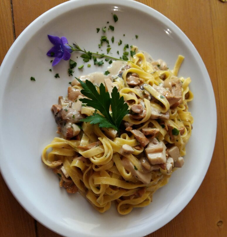 Zona Turistica Anterselva Alta餐馆和美食-Tiroler Hütte