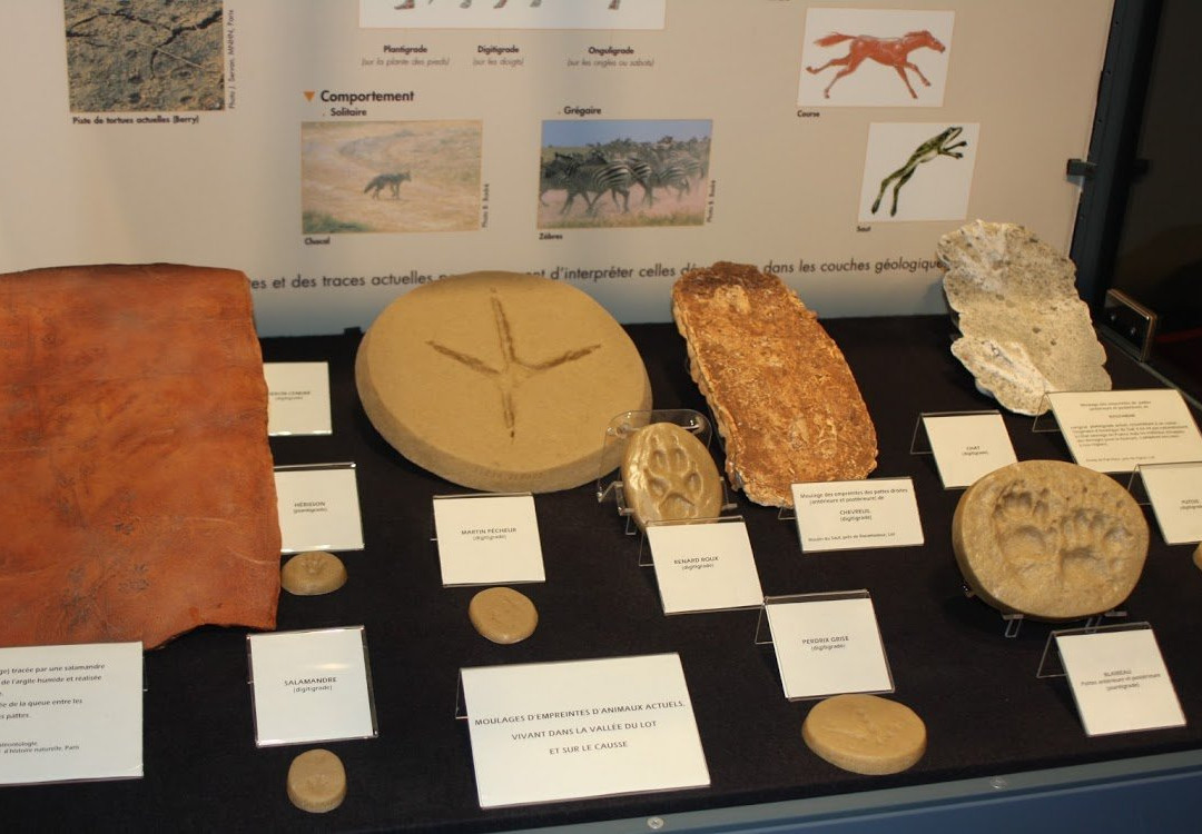 Ichnospace, Musée d'Empreintes de Dinosaures-Luzech必去景点