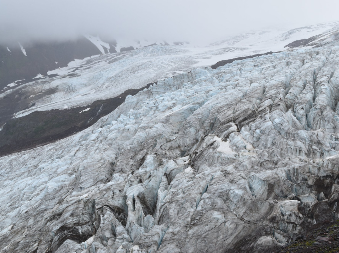 Heliotrope Ridge Trail景点图片