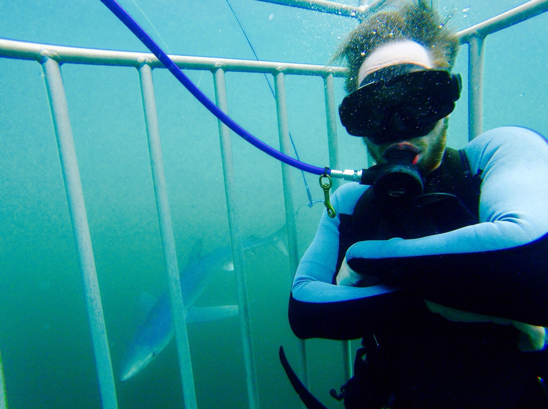 Gin Beach-蒙托克必去景点