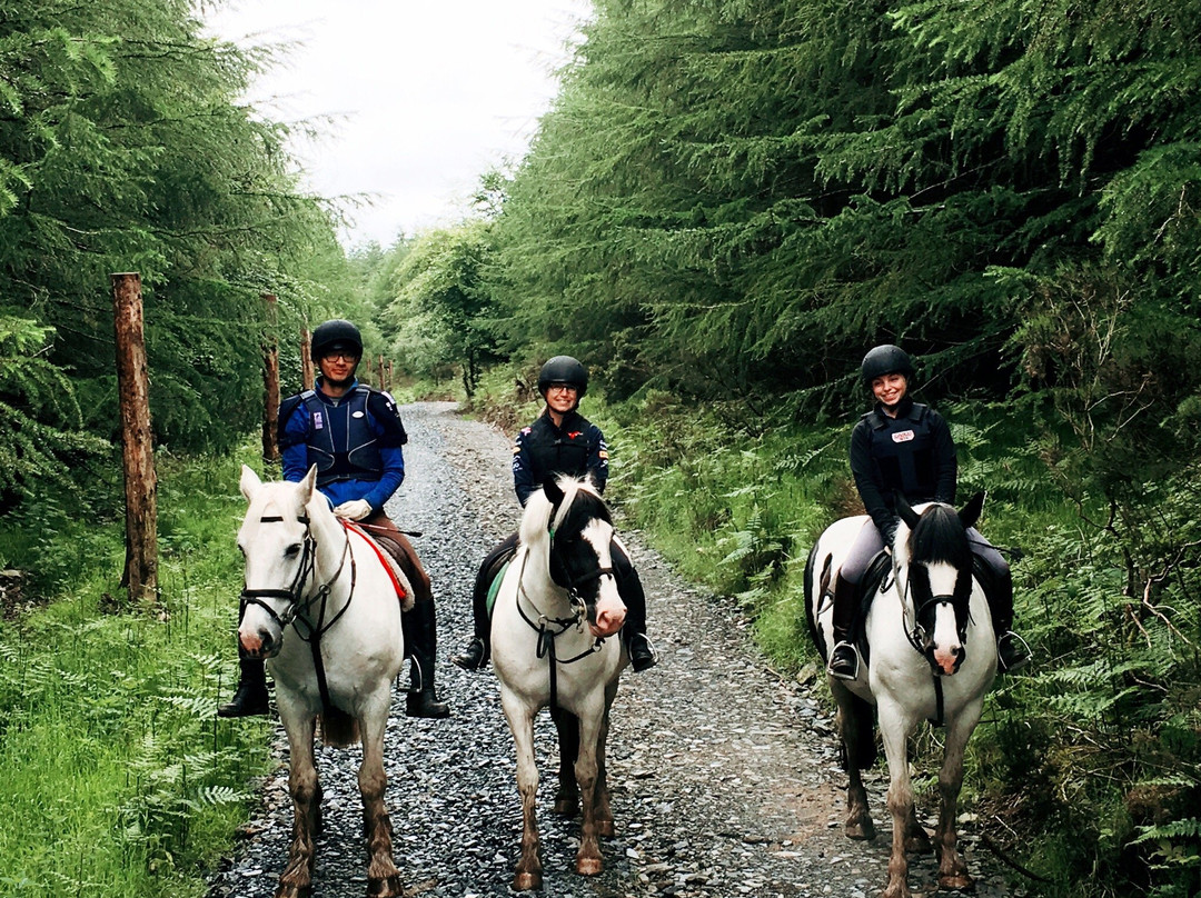 Coolmine Equestrian Centre-都柏林必去景点