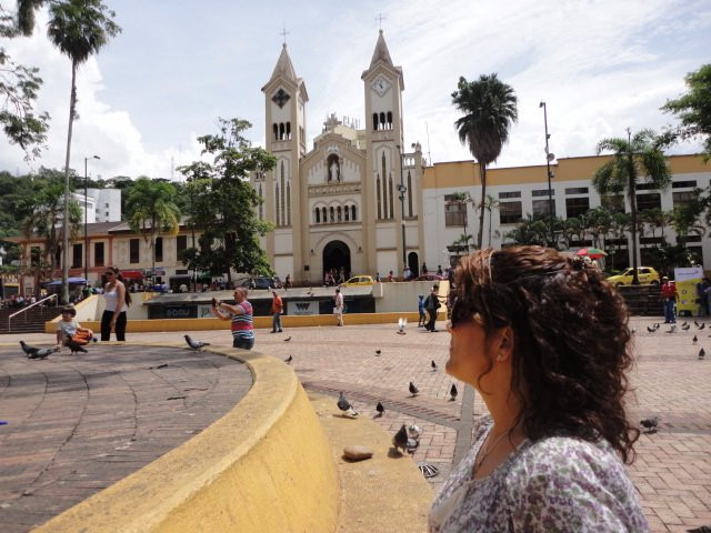Catedral Nuestra Señora del Carmen-比亚维森西奥必去景点