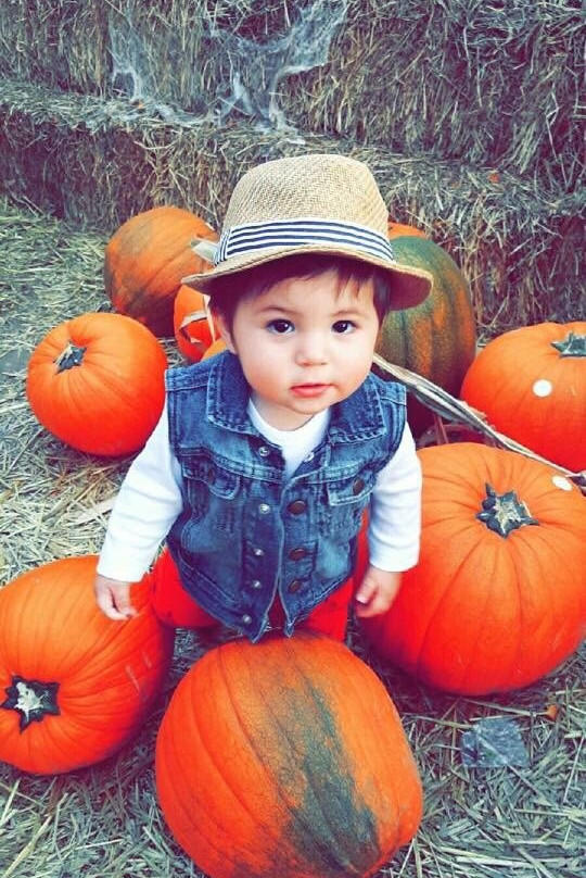 Cornbelly's Corn Maze & Pumpkin Fest景点图片