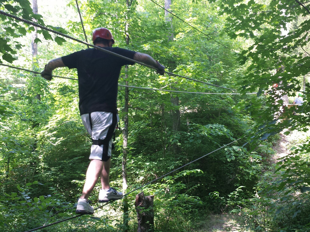 Dagaz Acres Zipline Adventures景点图片
