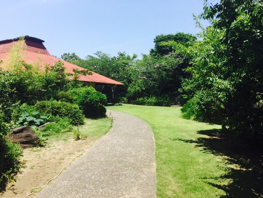 长生郡餐馆和美食-Makinokitei