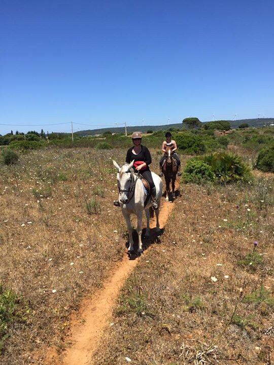 Tiffany's Riding Centre景点图片