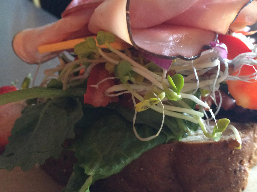 Crowsnest Pass餐馆和美食-Crowsnest Cafe & Fly Shop