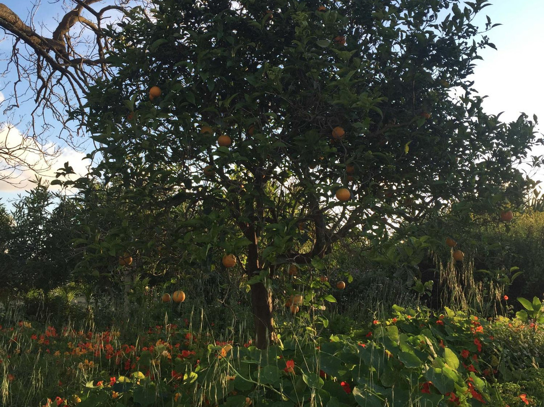 Quinta dos Cavalos主图